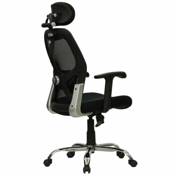 Decorbill Ergonomic Chair With Adjustable Lumbar Support, Head Support, Armrest